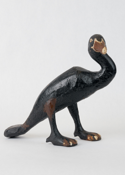 Black Cormorant